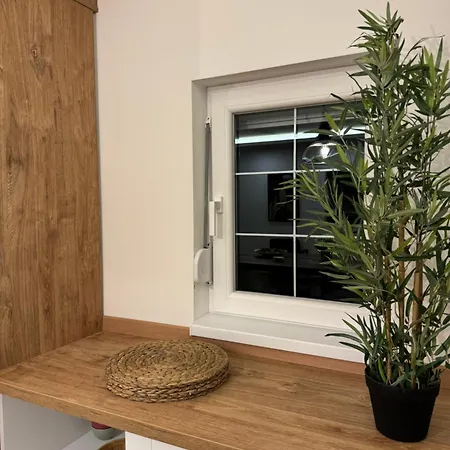 Romero Velvet Nights * Belgrado