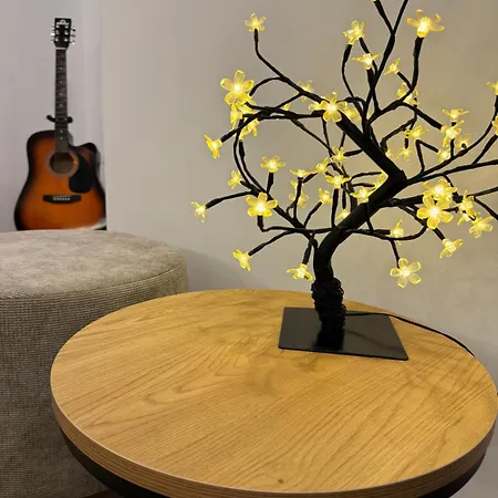 Romero Velvet Nights Belgrado